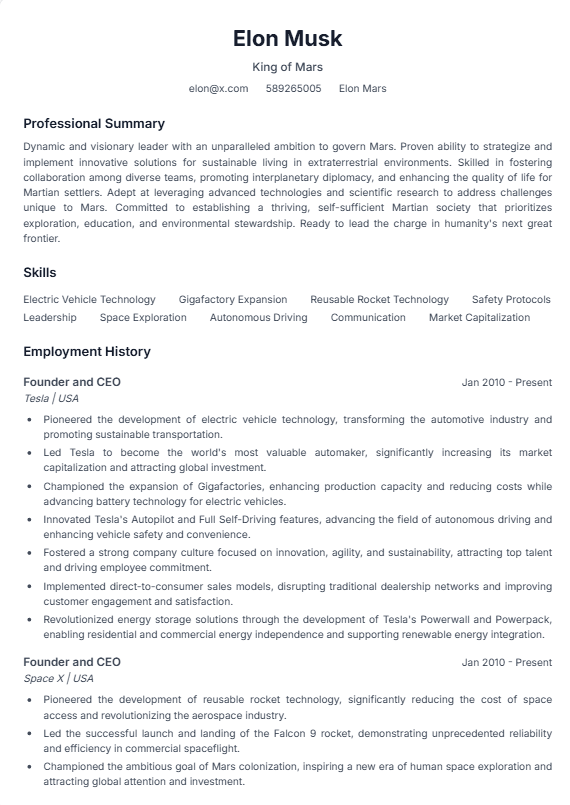 Creative resume template preview