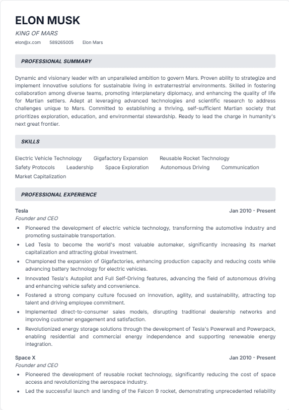 Modern resume template preview